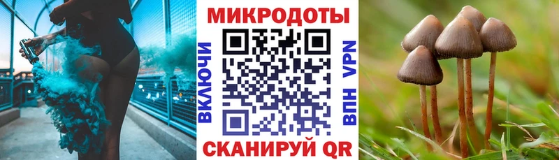 Псилоцибиновые грибы ЛСД  Сковородино 