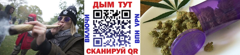 Шишки марихуана THC 21%  сколько стоит  Сковородино 